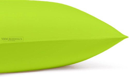 Parrot Green (3).jpg