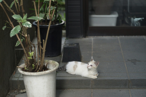 A7S NDSC00212.jpg