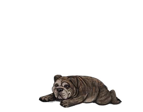 1000006095.png
