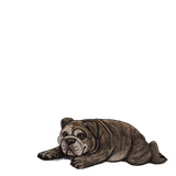 1000006095