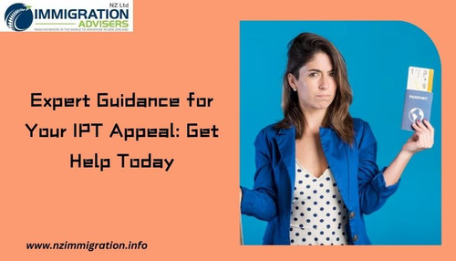 Expert Guidance for Your IPT Appeal: Get Help Today.jpg