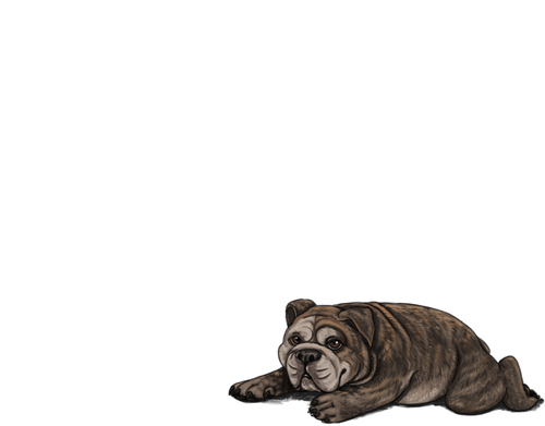 1000006099.png