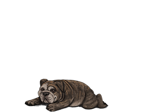 1000006097.png