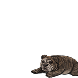 1000006096