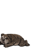 1000006098