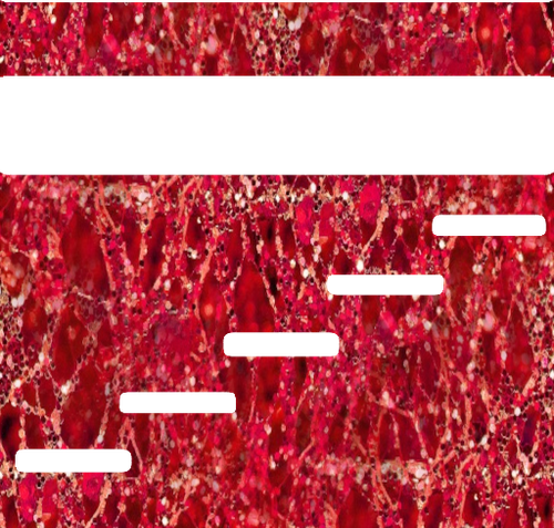 image 2024 08 23 031815588.png