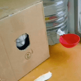 莫伸手，伸手必被捉.gif