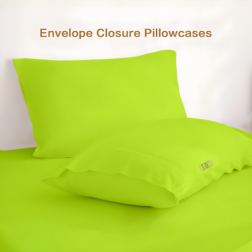 Parrot Green (12).jpg