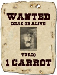 tuxpi.com.1724450759.jpg