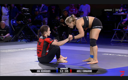 leginS JIUJitsu730..