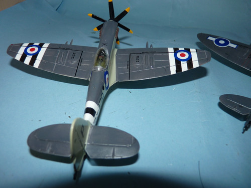 P1060176 kopia.jpg