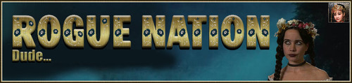 DudeI Banner.jpg