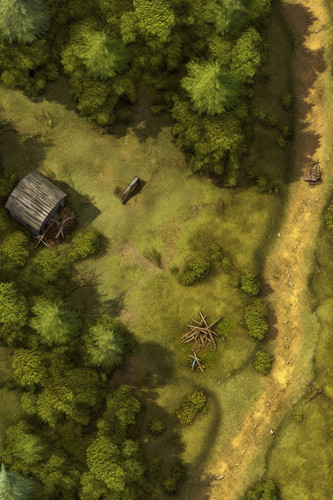Floresta 1.jpg