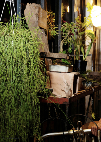 Bluephoto307 (18).png