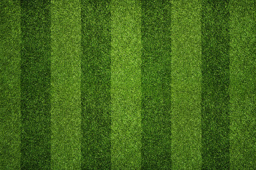 image 2024 08 24 125309005.png