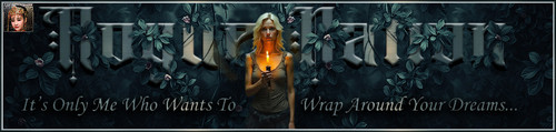 Orchid Banner.jpg