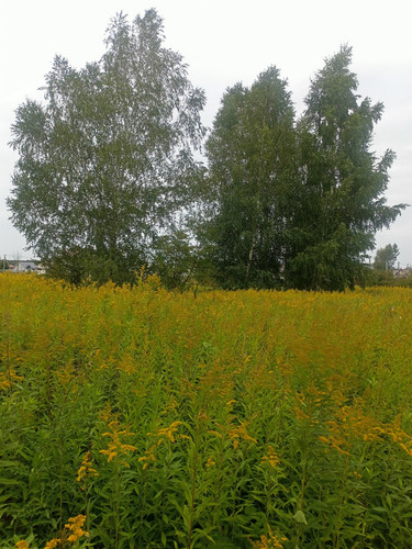 2024 08 23 13 04 34 cycling.jpg