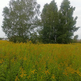 2024 08 23 13 04 34 cycling