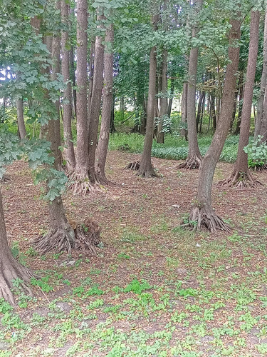 2024 08 23 13 19 34 cycling.jpg