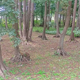 2024 08 23 13 19 34 cycling