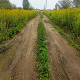 2024 08 23 13 04 51 cycling