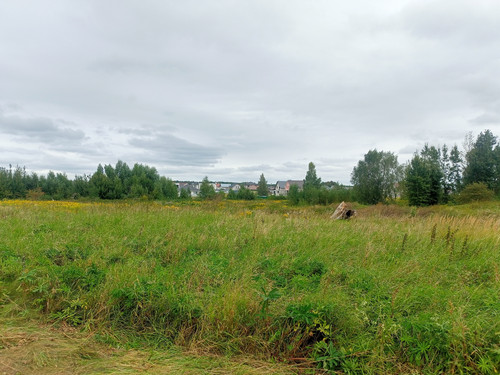 2024 08 19 10 46 20 cycling.jpg