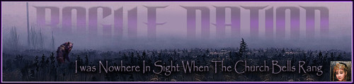 InSight Banner.jpg