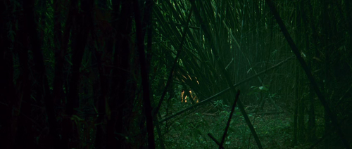 一次完美的逃亡.A.Perfect.Getaway.UNRATED.DC.2009.BD.3Audio.MiniSD TLF.mkv. vthumb 02.png