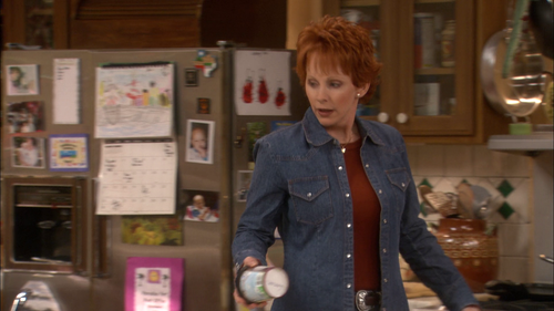 469758232 reba s01e04 you make me sick 1080p nf web dl aac2 0 h 264 fluxhdencode screensho.png