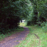 DSC 0017