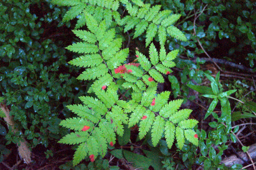 DSC 0023.jpg