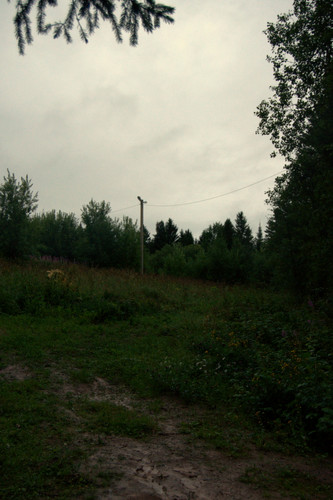 DSC 0033.jpg