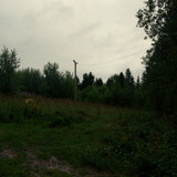 DSC 0033