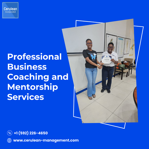 Professional Business Coaching and Mentorship Services.png
