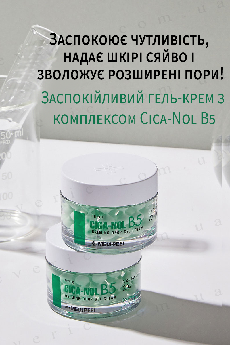 2 копия
