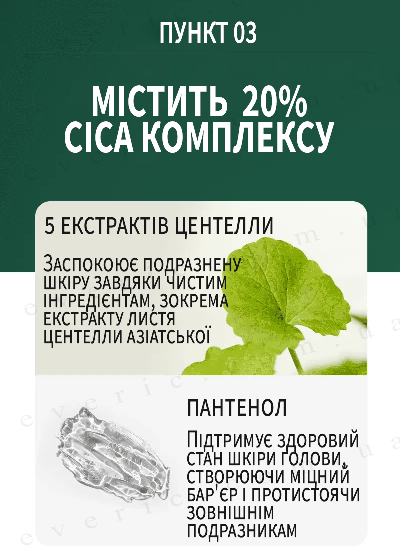 6 копия