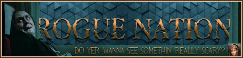 TwiZone Banner.jpg