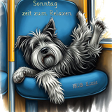sonntag