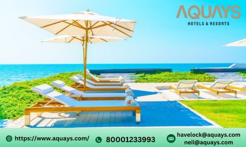 5 Specialties the Best Beach Resorts in Neil Island Guarantee for Visitors.jpg