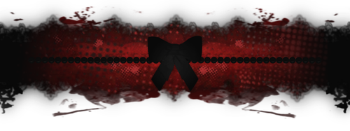 IMG 9355.png