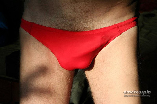 Speedo rot beringt4.jpg