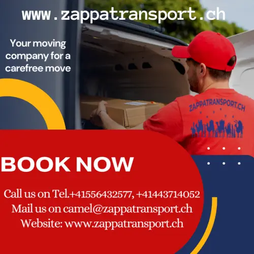 main qimg bb699915908493f60521eee9fa596eef.webp