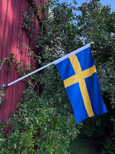 Traditional Swedish facade flag. 🇸🇪.jpg