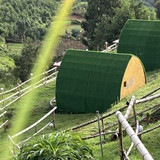 3pod