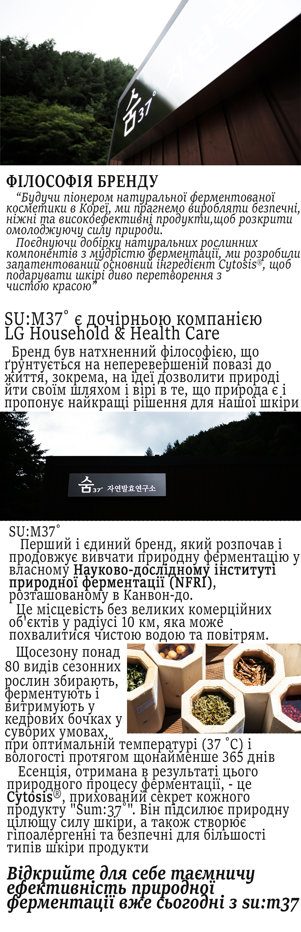 Без имени 5 копия