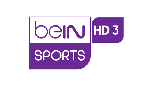 Copia de Copia de Copia de Copia de Pink and Purple Sporty Gradient Fitness YouTube Thumbnail (34).png