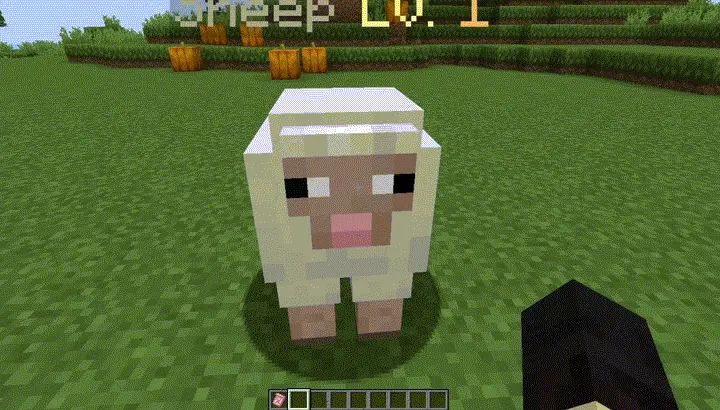 [IMG]