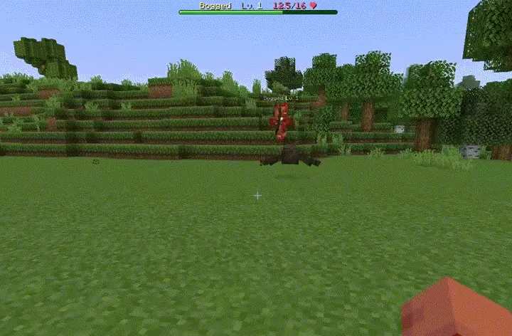 [IMG]