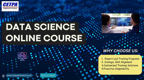 DATA SCIENCE ONLINE COURSE.jpg