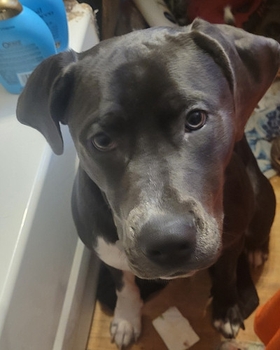 IMG 20240803 200055 713.jpg